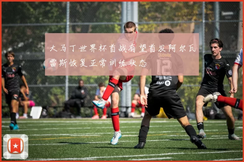 大马丁世界杯首战有望首发阿尔瓦雷斯恢复正常训练状态
